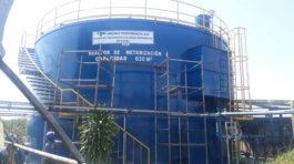 WhatsApp Image 2022-04-07 at 12.14.05 PM (2)