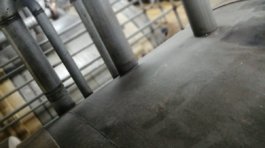 WhatsApp Image 2022-04-27 at 11.52.49 AM