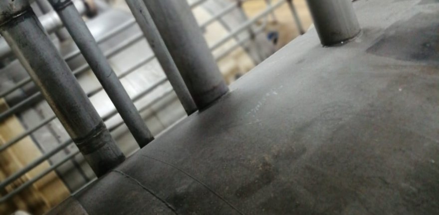 WhatsApp Image 2022-04-27 at 11.52.49 AM