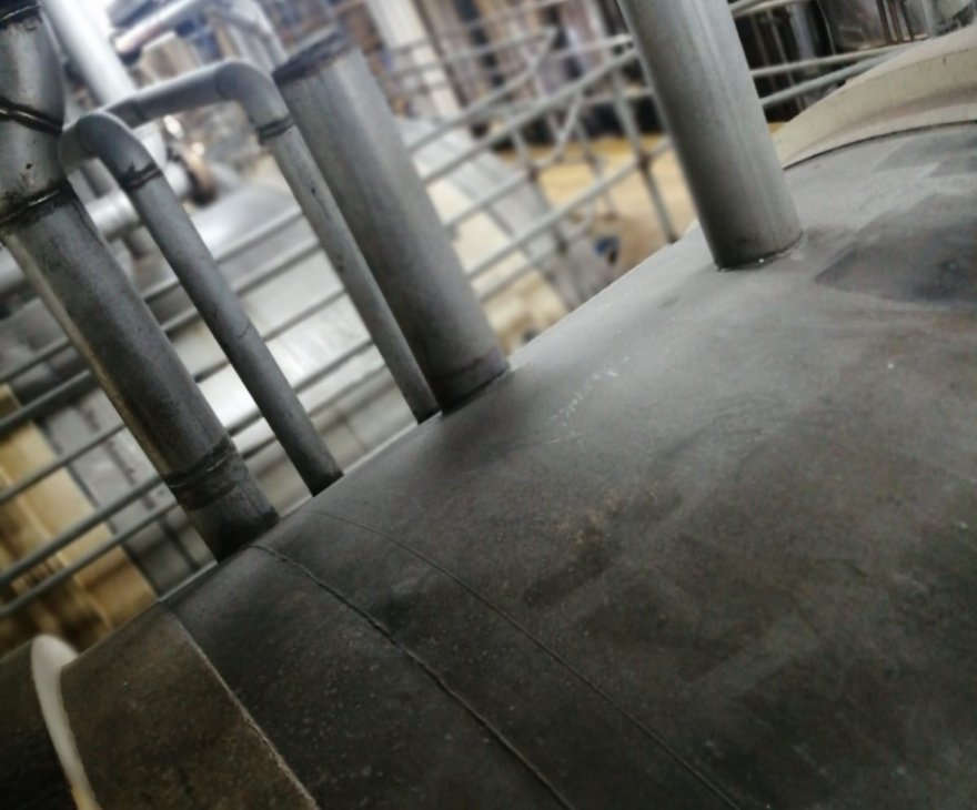 WhatsApp Image 2022-04-27 at 11.52.49 AM